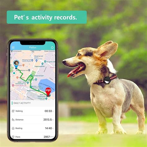 best rated dog tracker